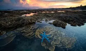 ستاره آبی در عکس روز نشنال جئوگرافیک +عکس