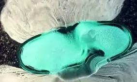 بعد از خوردن قرص در معده شما چه اتفاقی می افتد؟