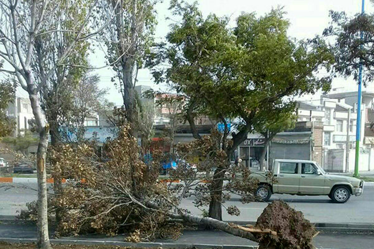 تندباد شدید شهرکرد را درنوردید