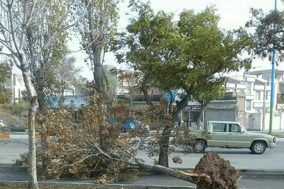 تندباد شدید شهرکرد را درنوردید