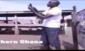 مردمی که برای حرف زدن با موبایل روی درخت می‌روند!+ فیلم