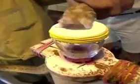 زهر مار و لخته شدن خون انسان +فیلم