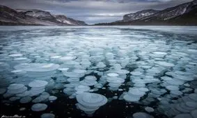 دم کردن چای با گاز متان حبس شده در دریاچه آبراهام
