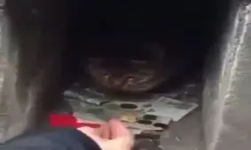 سوراخ مهربانی !