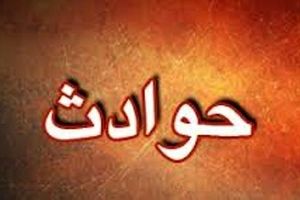 سقوط نخل بر روی ۳ خودرو در اهواز