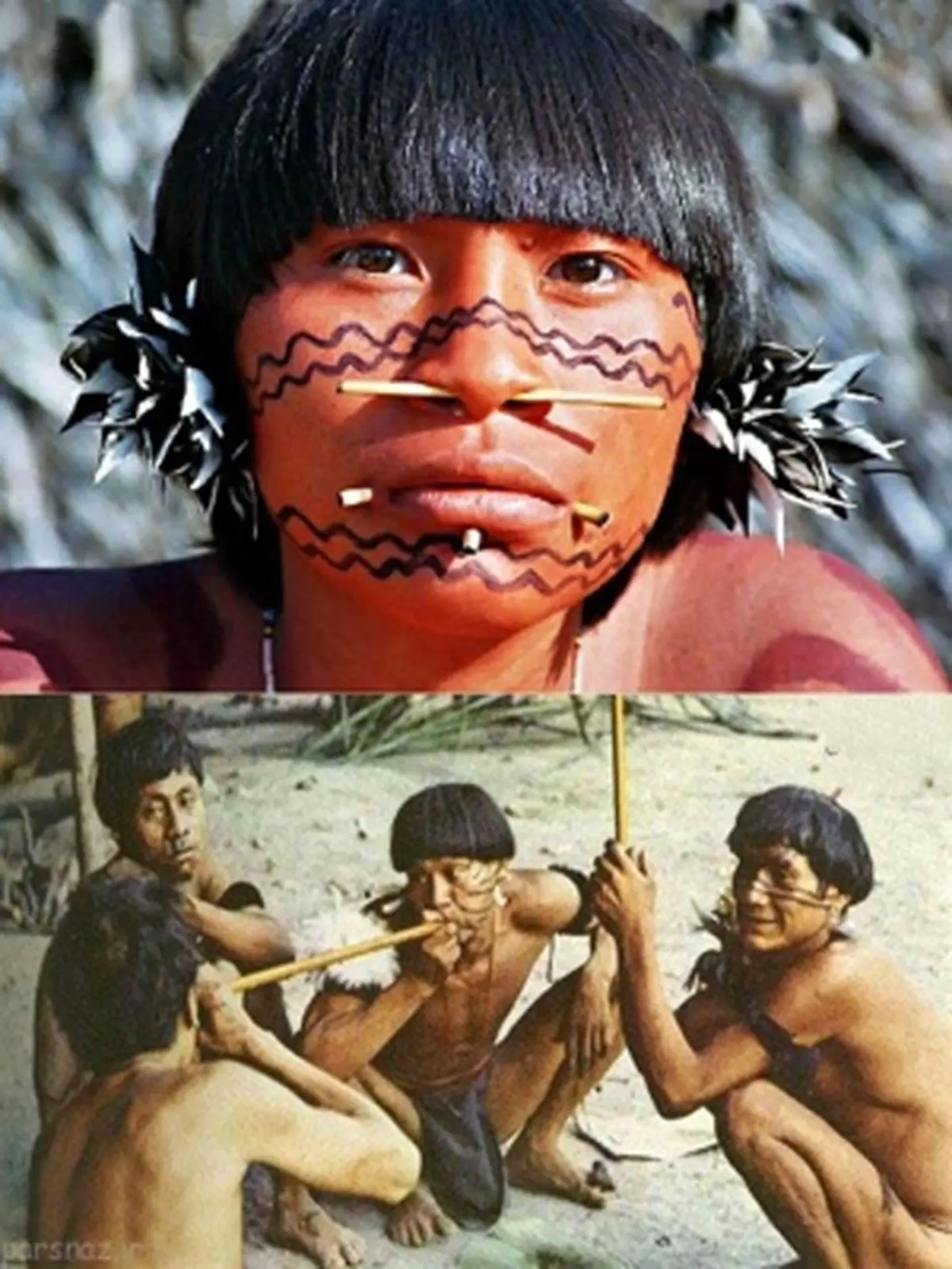 مردمان خاکستر خور !