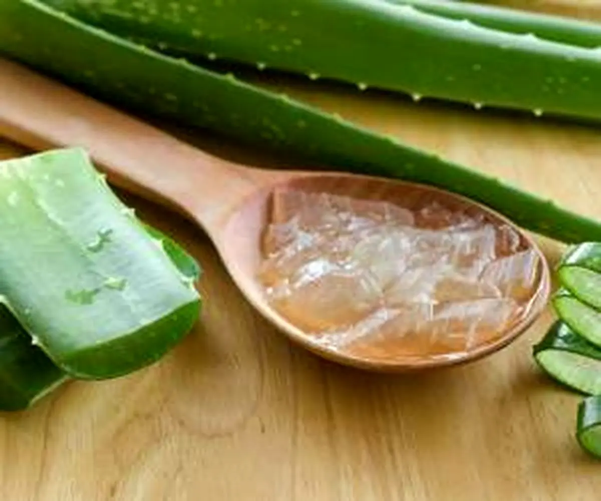 2 روش استفاده از آلوئه ورا برای درمان گلودرد