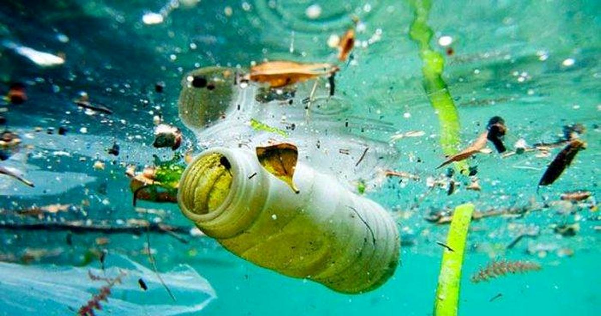 پلاستیک به‌زودی اقیانوس‌ها را تسخیر می‌کند