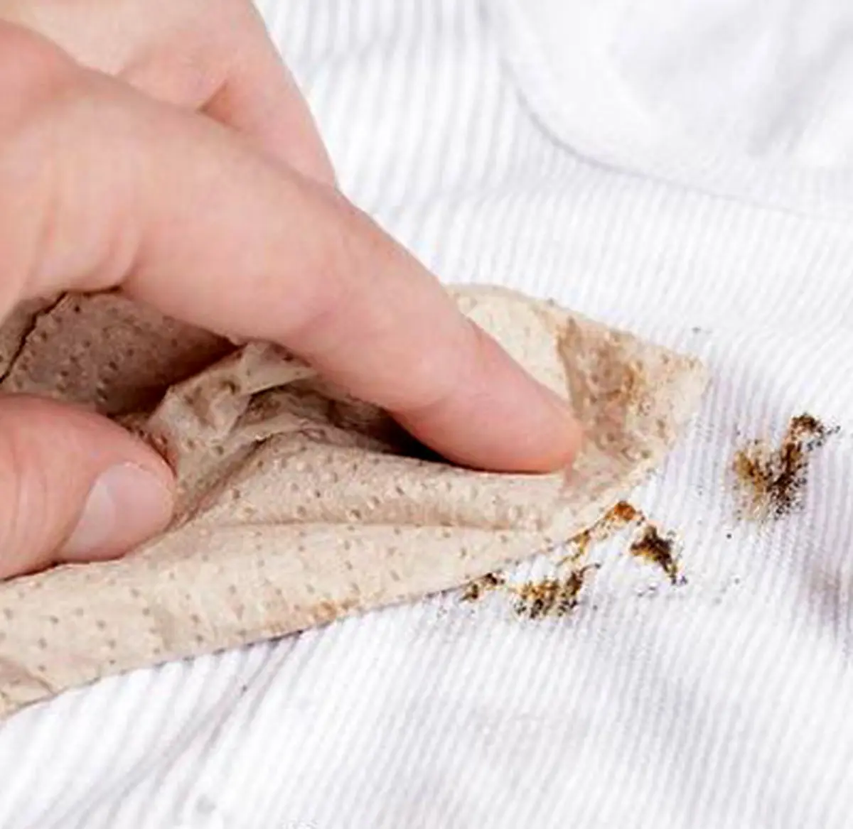 آشنایی با انواع لکه برها