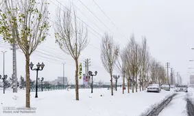 تقاضای لغو مسافرت های غیرضروری به فیروزکوه