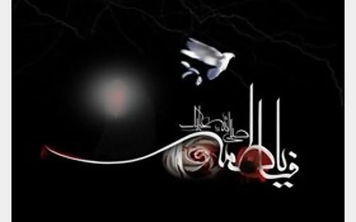 سکوت سالن‌های کنسرت به احترام شهادت بانوی دو عالم