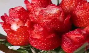 آموزش مرحله به مرحله دیزایین میوه