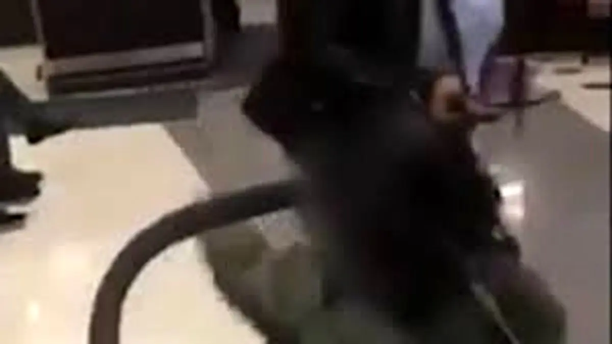 انتشار تصویر کودک آزاری وحشیانه دختر 5 ساله پلیس را وارد عمل کرد+ فیلم