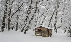 ۱۲ شهر مازندران درگیر برف و کولاک