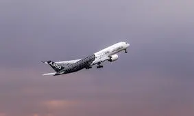 ۵۰ درصد هواپیماهای کشور فرسوده هستند/ از روسیه و اوکراین هواپیما بخریم