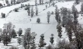 بارش بیش از یک متر برف در ارتفاعات گلستان