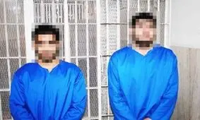 سارقان حرفه ای با ۶۰ فقره سرقت در بجنورد به دام افتادند