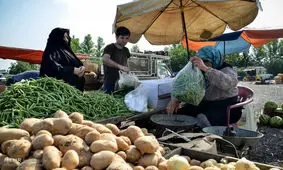 بازار هفتگی در گناوه برپا می‌شود/ ساماندهی دست‌فروشان