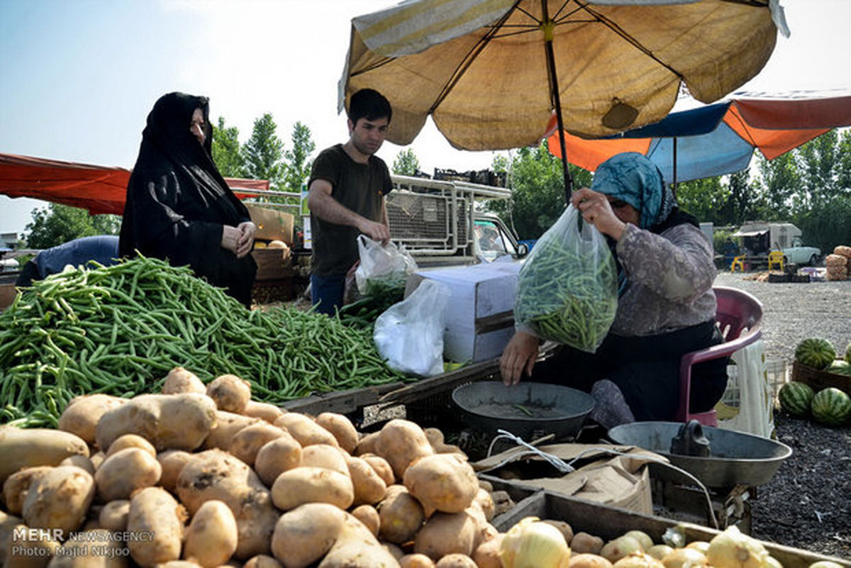 بازار هفتگی در گناوه برپا میشود/ ساماندهی دستفروشان