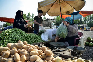 بازار هفتگی در گناوه برپا می‌شود/ ساماندهی دست‌فروشان