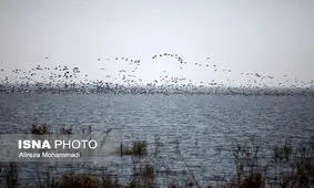 احتمال هدایت آب تالاب هورالعظیم به سمت بخش عراقی