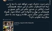 نظر معاون شهردار در مورد حمله سگ‌ها به دختربچه