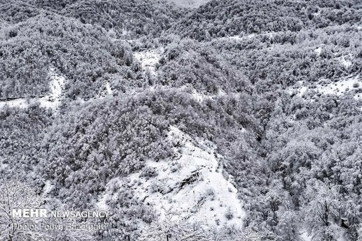 سفید پوش شدن روستای تاریخی ماسوله/عکس