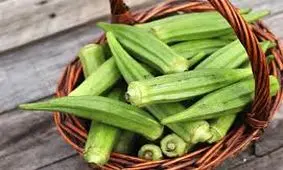 آشنایی با خواص بامیه + نحوه مصرف بامیه
