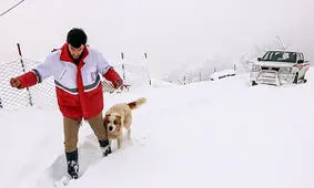 ماجرای مفقودشدن پیرزن الیگودرزی چیست؟