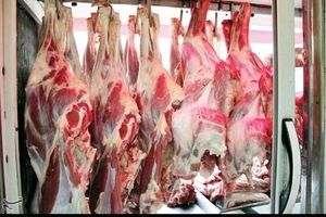 علت بالا بودن قیمت گوشت در همدان قاچاق دام زنده از مرزهای غربی است