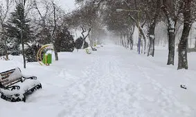 برف جامه سفید بر تن همدان پوشاند