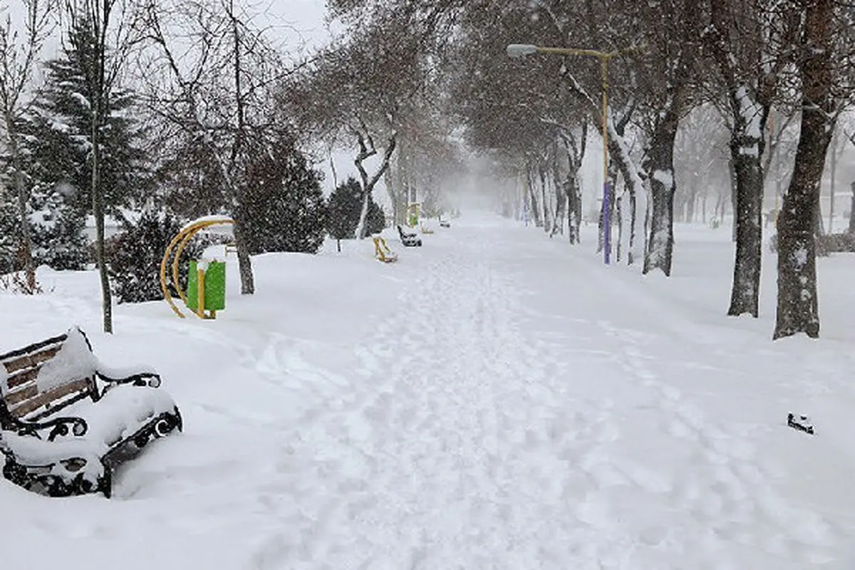 برف جامه سفید بر تن همدان پوشاند