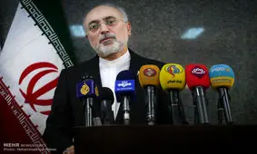 هیئت نظارت مرجع تصمیم گیری برای ماندن یا نماندن در برجام است