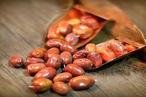 برای تقویت عقل چه کار کنیم؟
