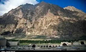 مرثیه‌ای برای کاجستان بدون متولی بیستون+تصاویر