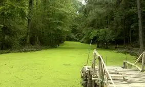 پارک ملی سراوان با طبیعتی بکر و دریاچه ای سبزرنگ