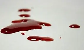 عروسک باربی راز قتل ۲۰ ساله را افشا کرد