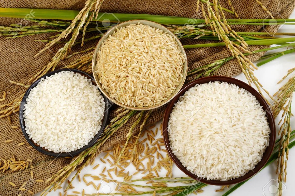 نرخ روز انواع برنج در میادین + جدول