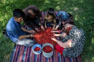 جاهای دیدنی کلیبر، بهشت ایران در آذربایجان شرقی