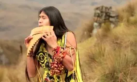 نوازنده قطعه معروف «چوپان تنها» به تهران می آید