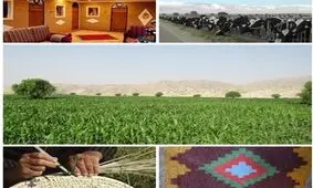 ۳۷۳ میلیارد تومان تسهیلات اشتغال در استان فارس پرداخت شد