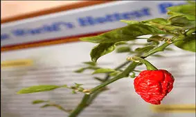 عجیب‌ترین واحد‌های اندازه گیری دنیا