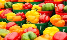 خواص باورنکردنی فلفل دلمه ای