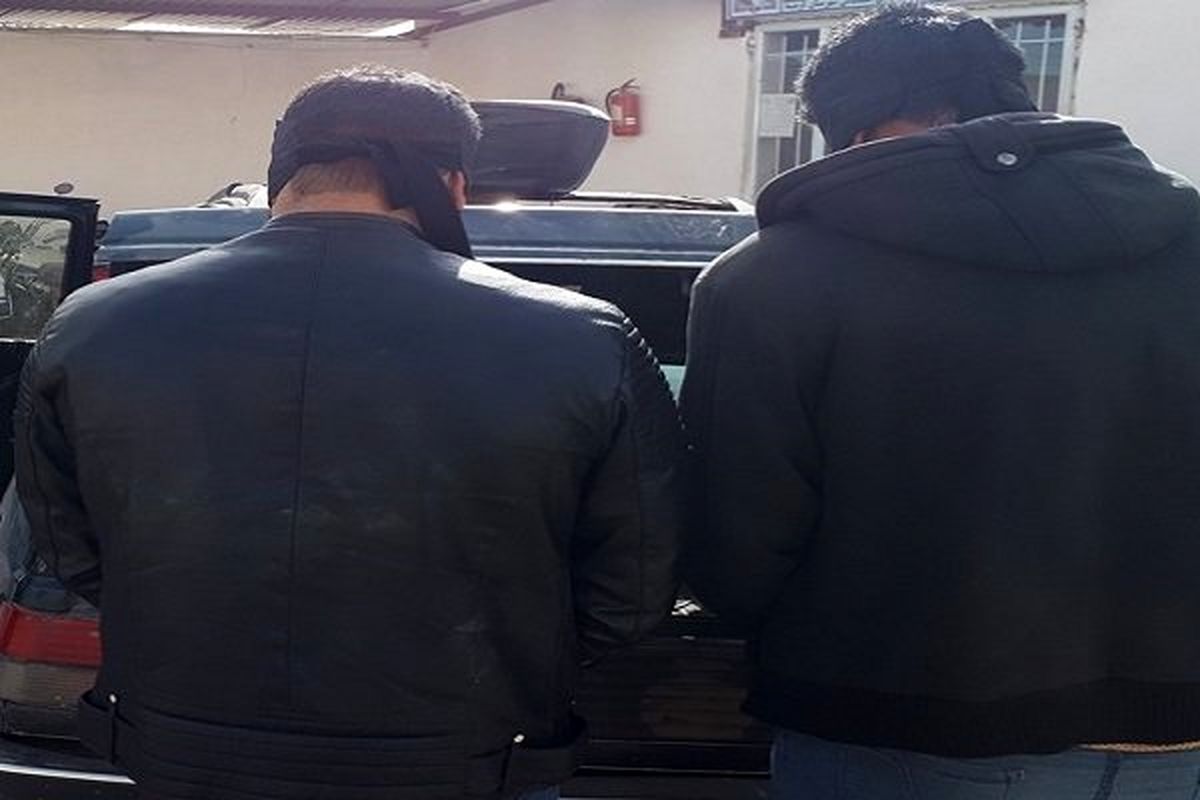 دستگیری یک سارق و کشف ۷ فقره سرقت در تویسرکان