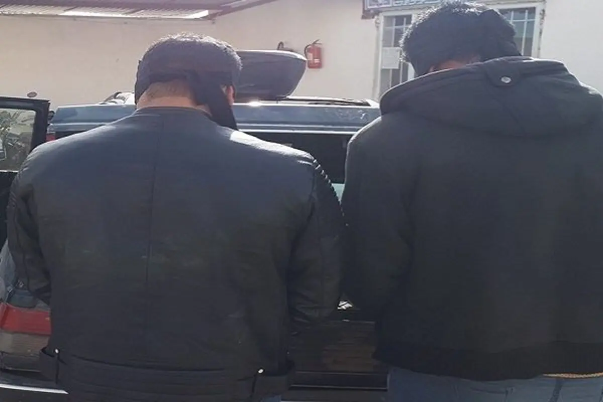 دستگیری یک سارق و کشف ۷ فقره سرقت در تویسرکان