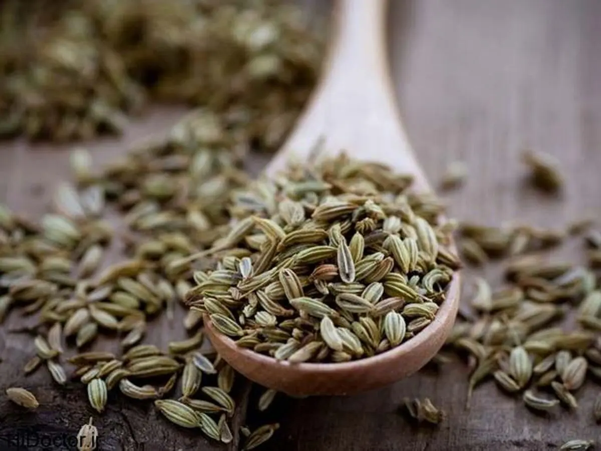 طبع رازیانه چیست و مصرف آن برای چه افرادی مناسب است؟