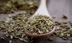 طبع رازیانه چیست و مصرف آن برای چه افرادی مناسب است؟