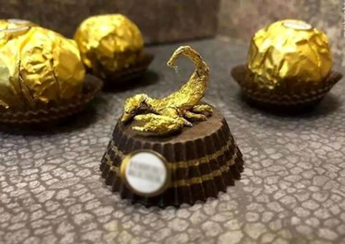 مجسمه‌سازی با پوست شکلات +تصاویر