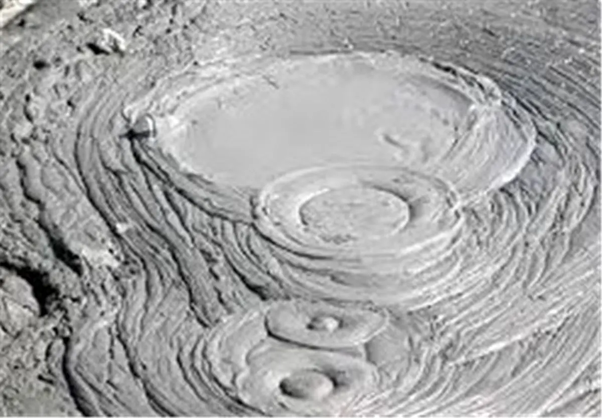 «گل افشان» شهرستان کنارک فعال شد