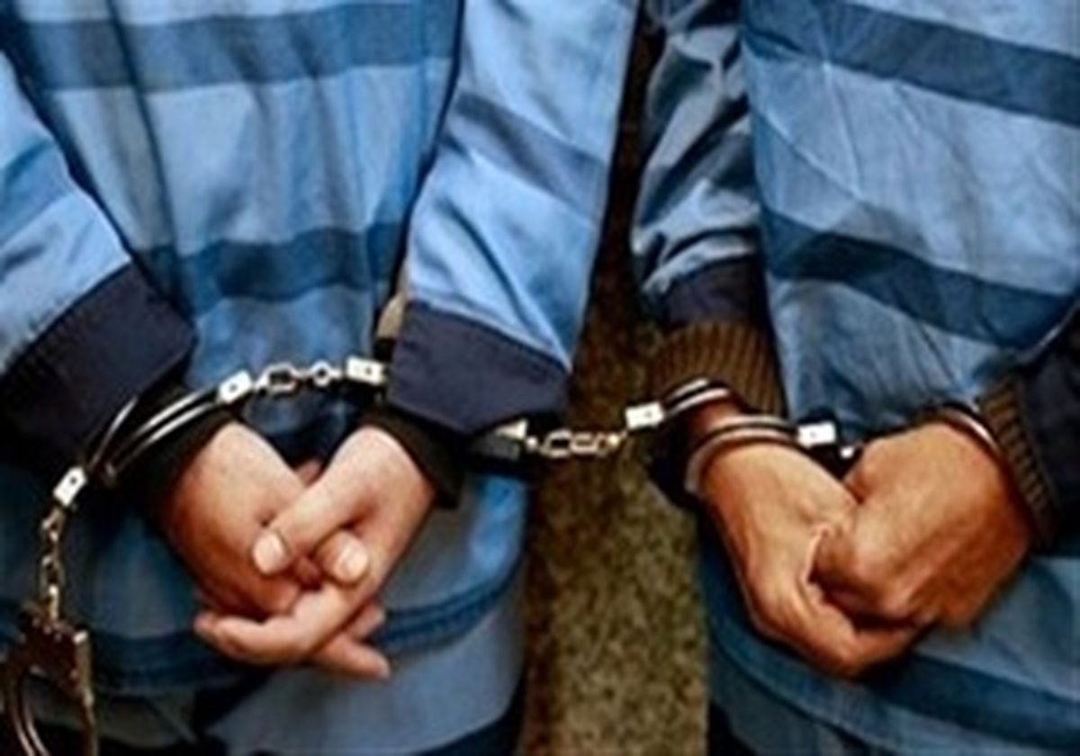دستگیری سارقان حرفه‌ای در شهرستان خلخال